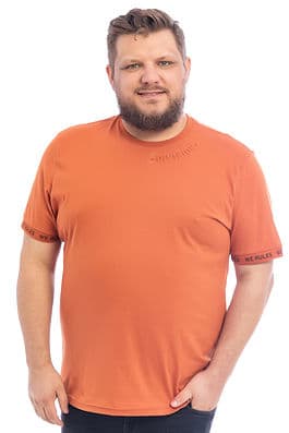 Camiseta Plus Size Division